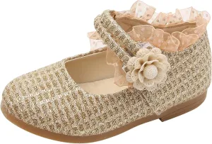 1-6Years Toddler/Little Kid Girl's Dress Shoes Mary Jane Ballet Flats Ballerina Flat Shoes for Wedding Party School
