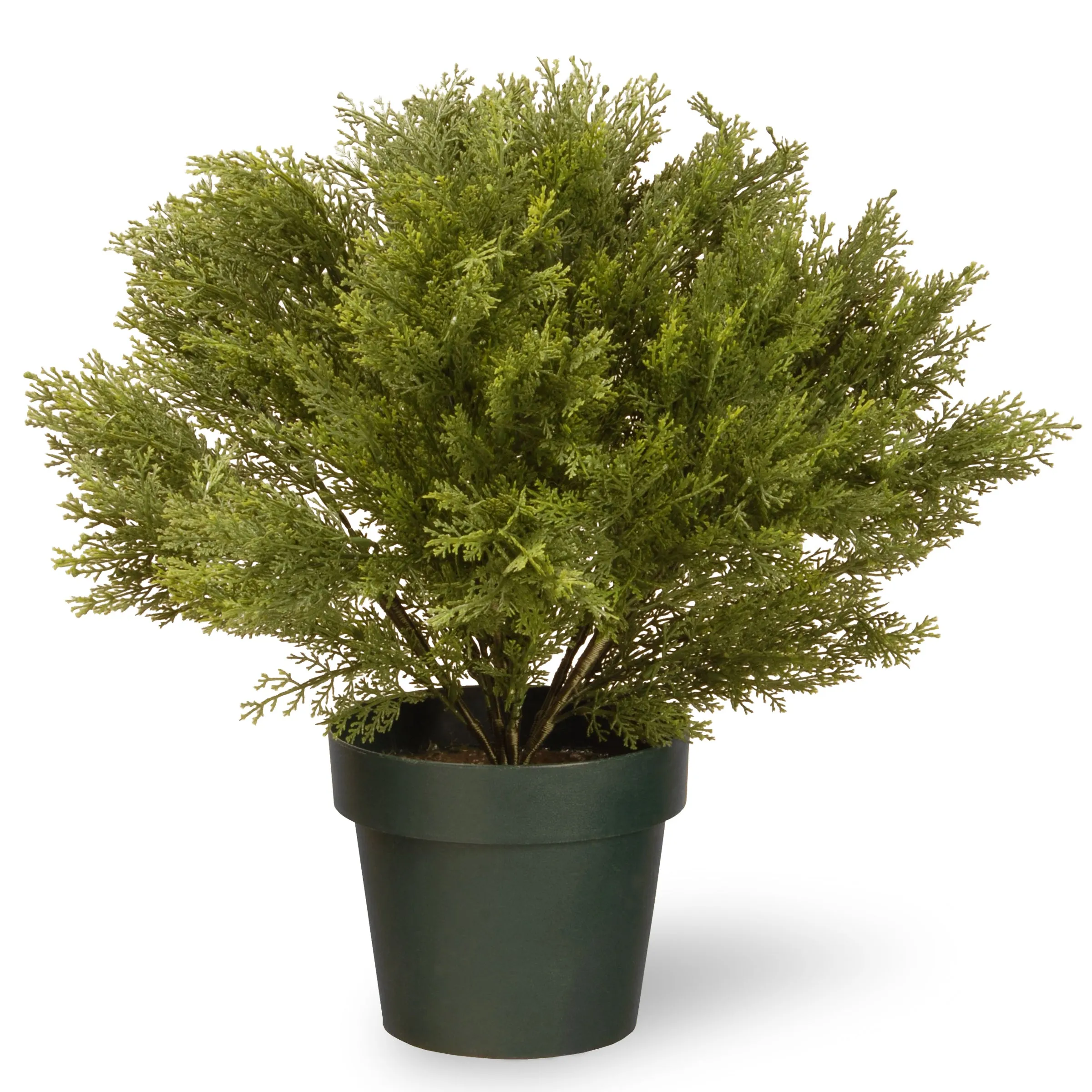 20" Artificial Globe Juniper