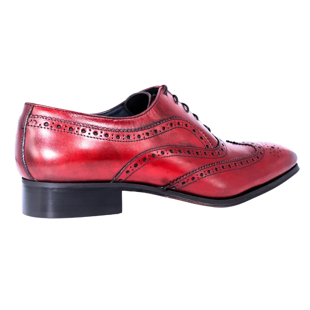 Aliverti Formal Oxford Brogue Shoes in Rosso