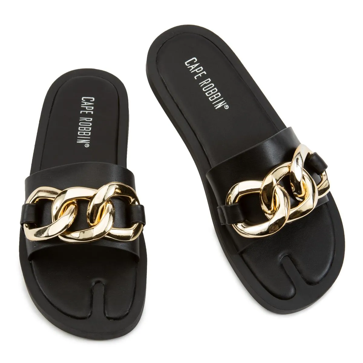 Dana Slides
