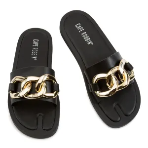 Dana Slides