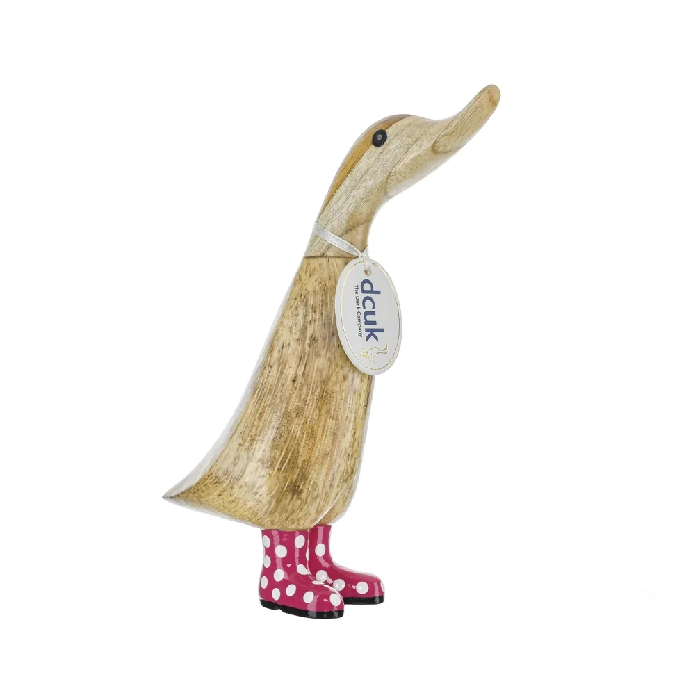 Duckling with Spotty Boots