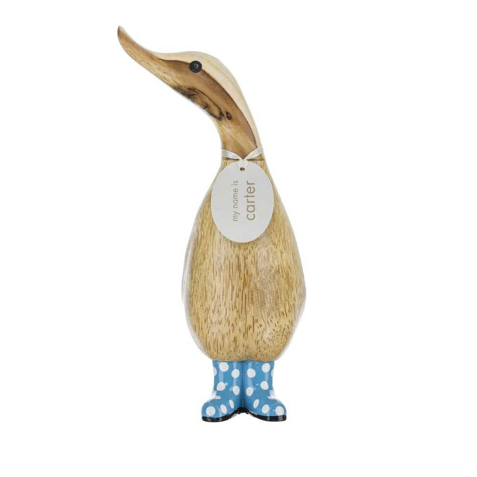 Duckling with Spotty Boots