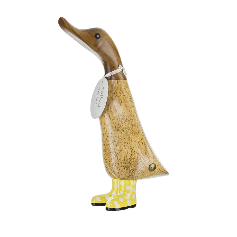 Duckling with Spotty Boots