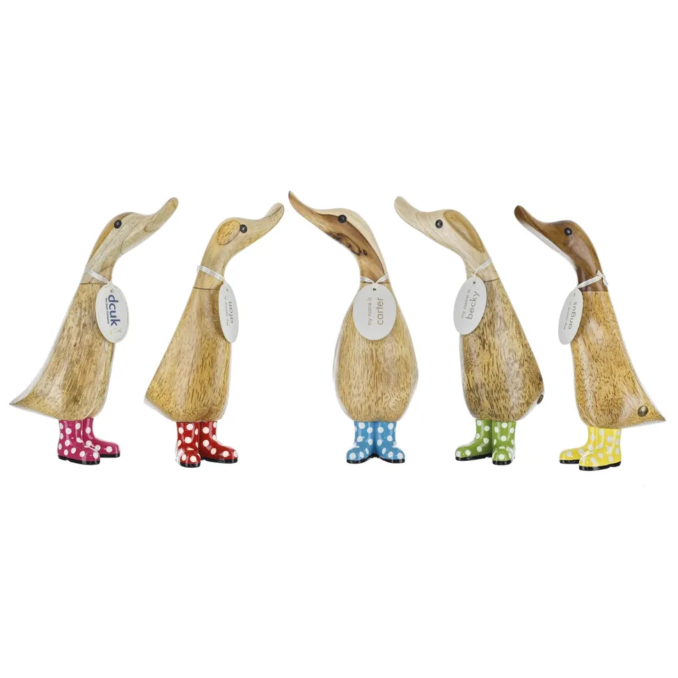 Duckling with Spotty Boots