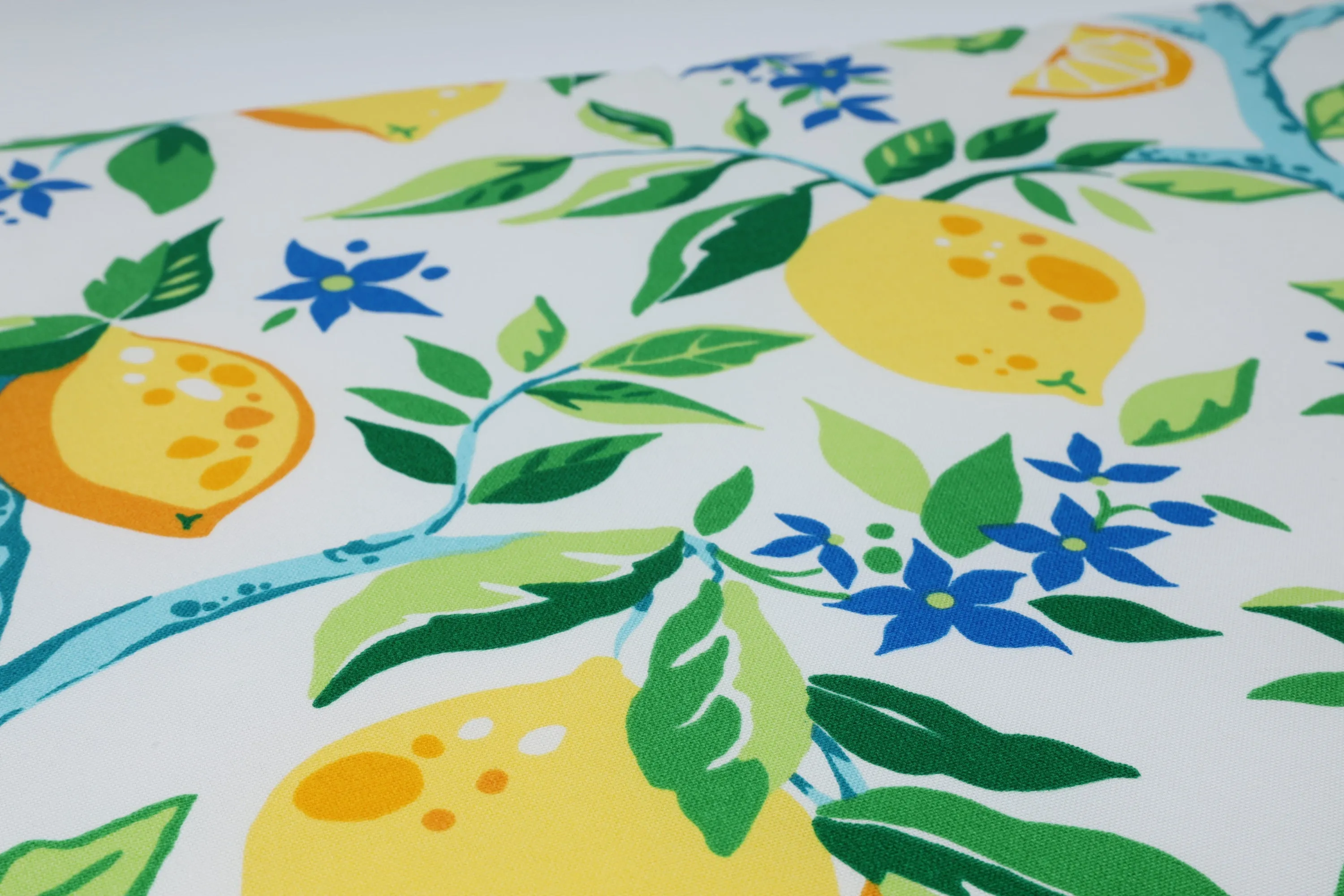Lemon Tree Yellow Yellow Rounded Corners Seat Cushion (Set Of 2)