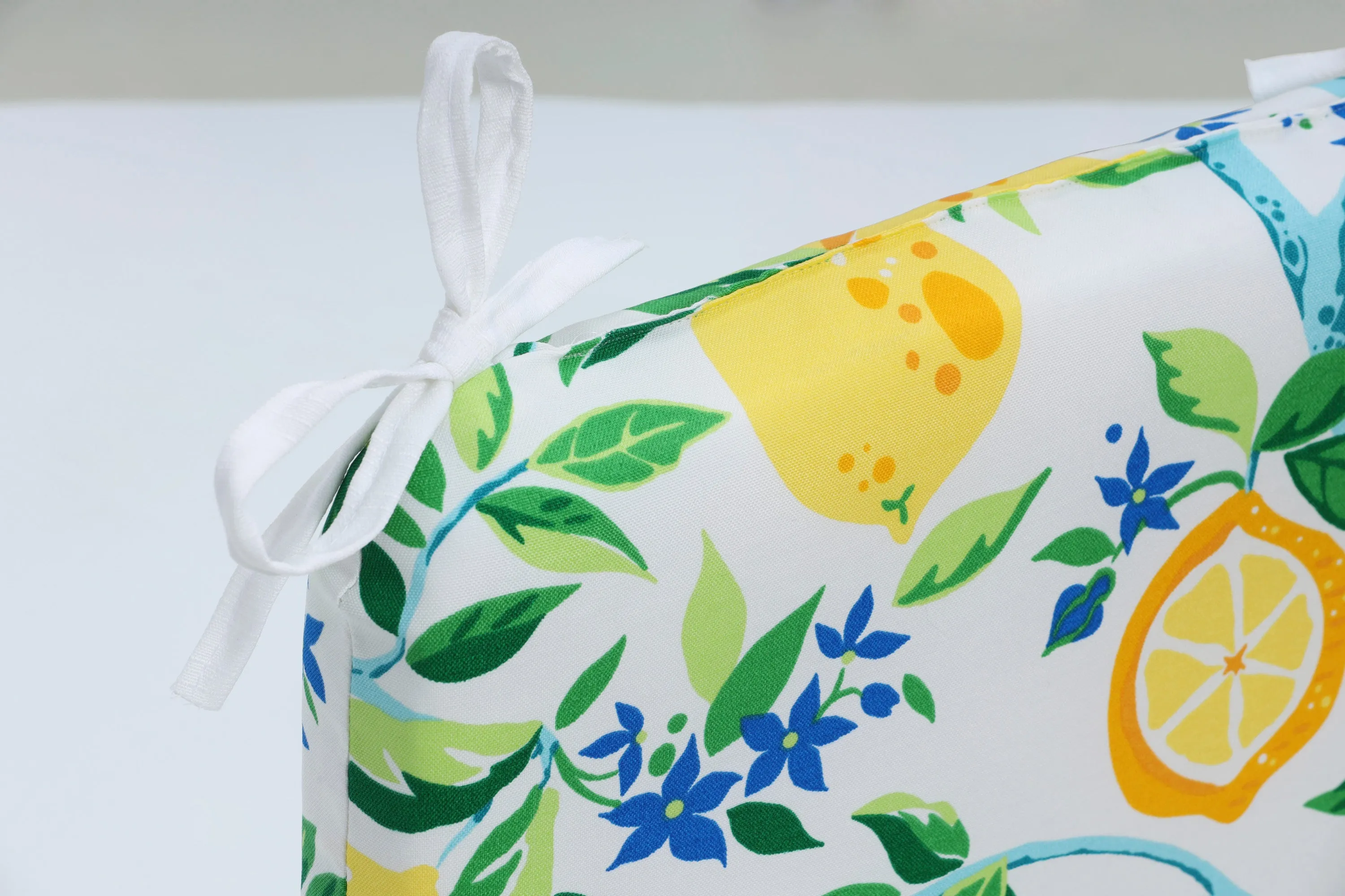 Lemon Tree Yellow Yellow Rounded Corners Seat Cushion (Set Of 2)