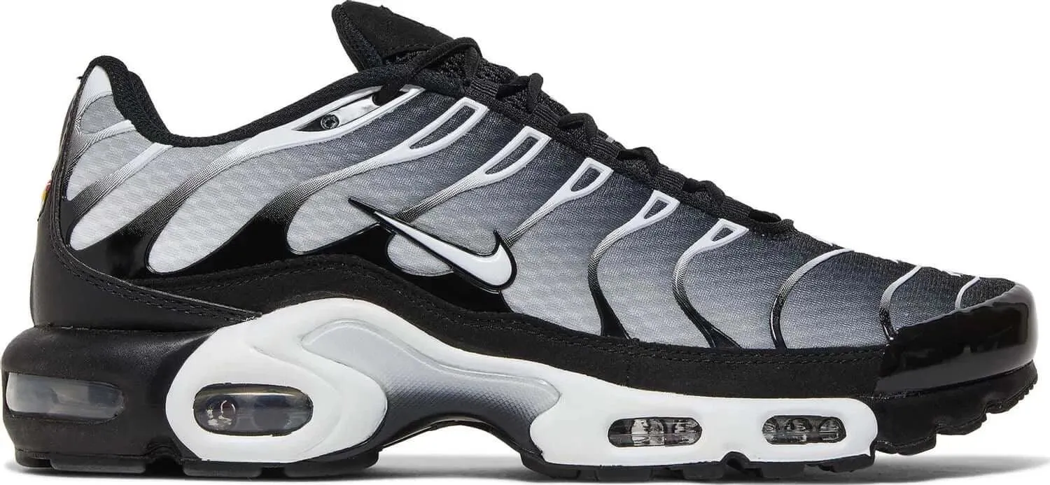 Nike Air Max Plus TN 'Smoke Fade' (2022)