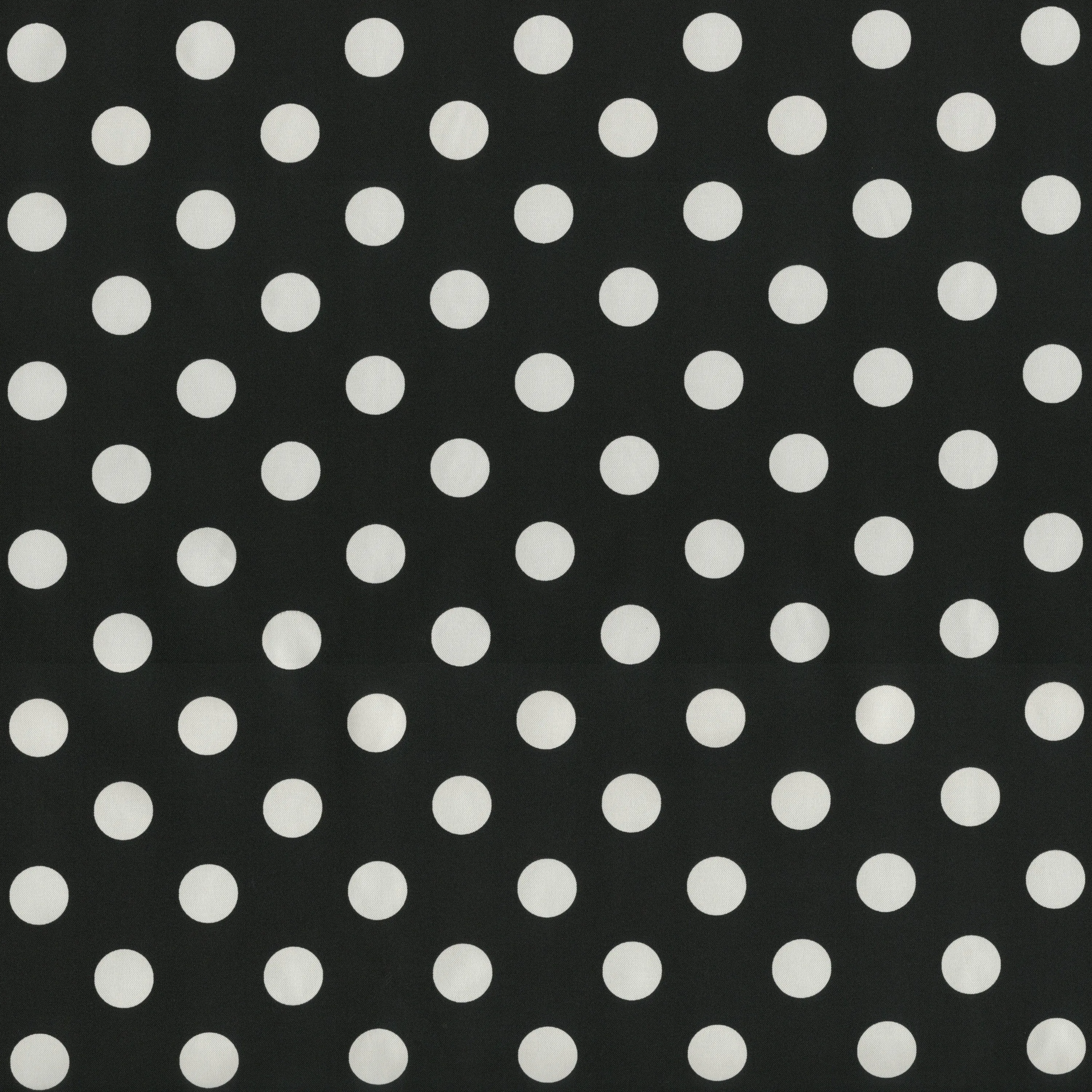 Polka Dot Black Rectangle Throw Pillow (Set Of 2)