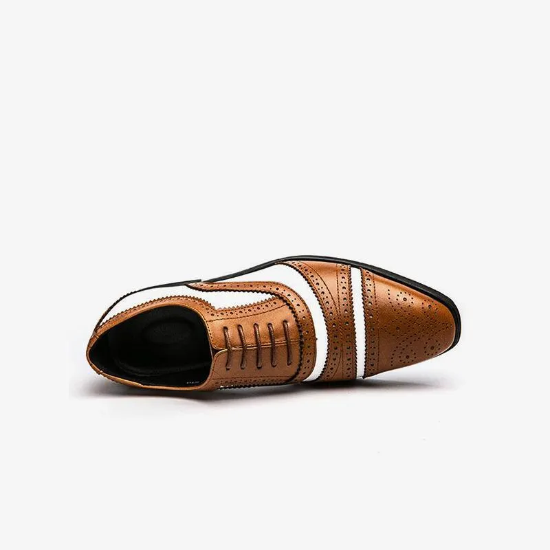 Two Tone Brown Brogue Oxfords Shoes